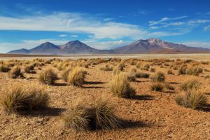 Rondreis Avontuurlijk Chili & Argentinië