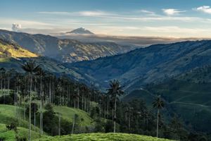 Rondreis Compleet Colombia