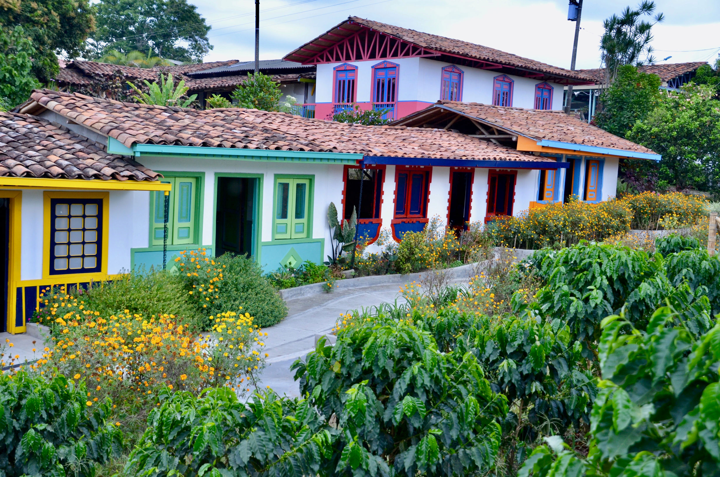 Rondreis Compleet Colombia