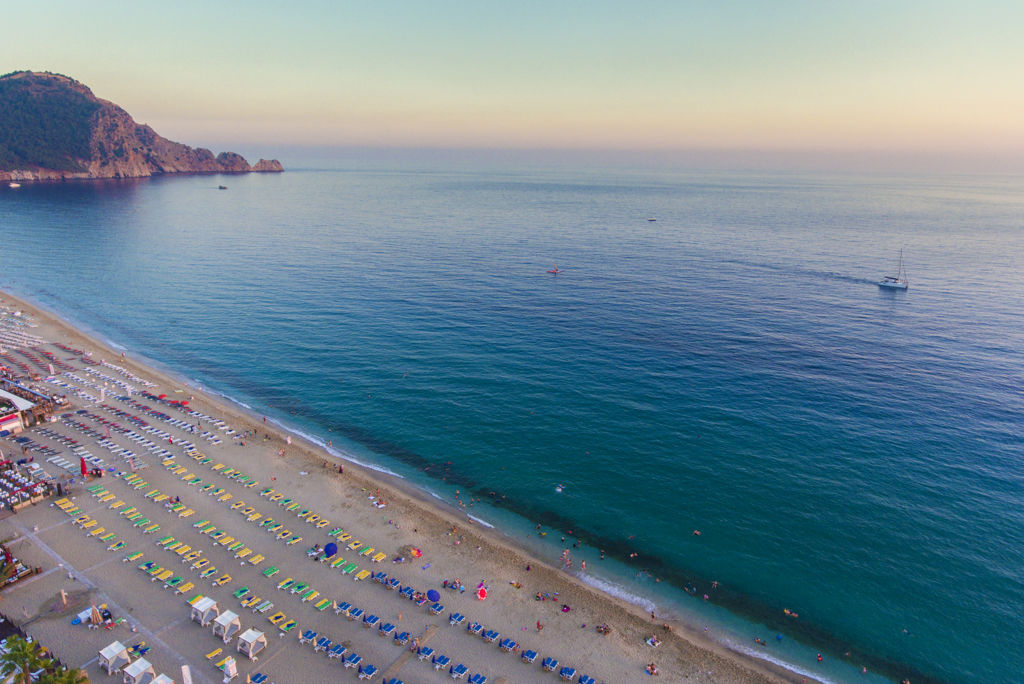 lonicera-city-kleopatra