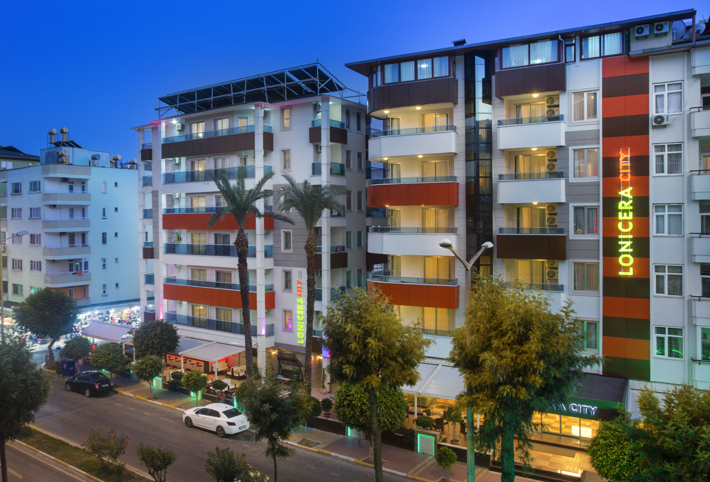 Lonicera City Kleopatra - billede 3