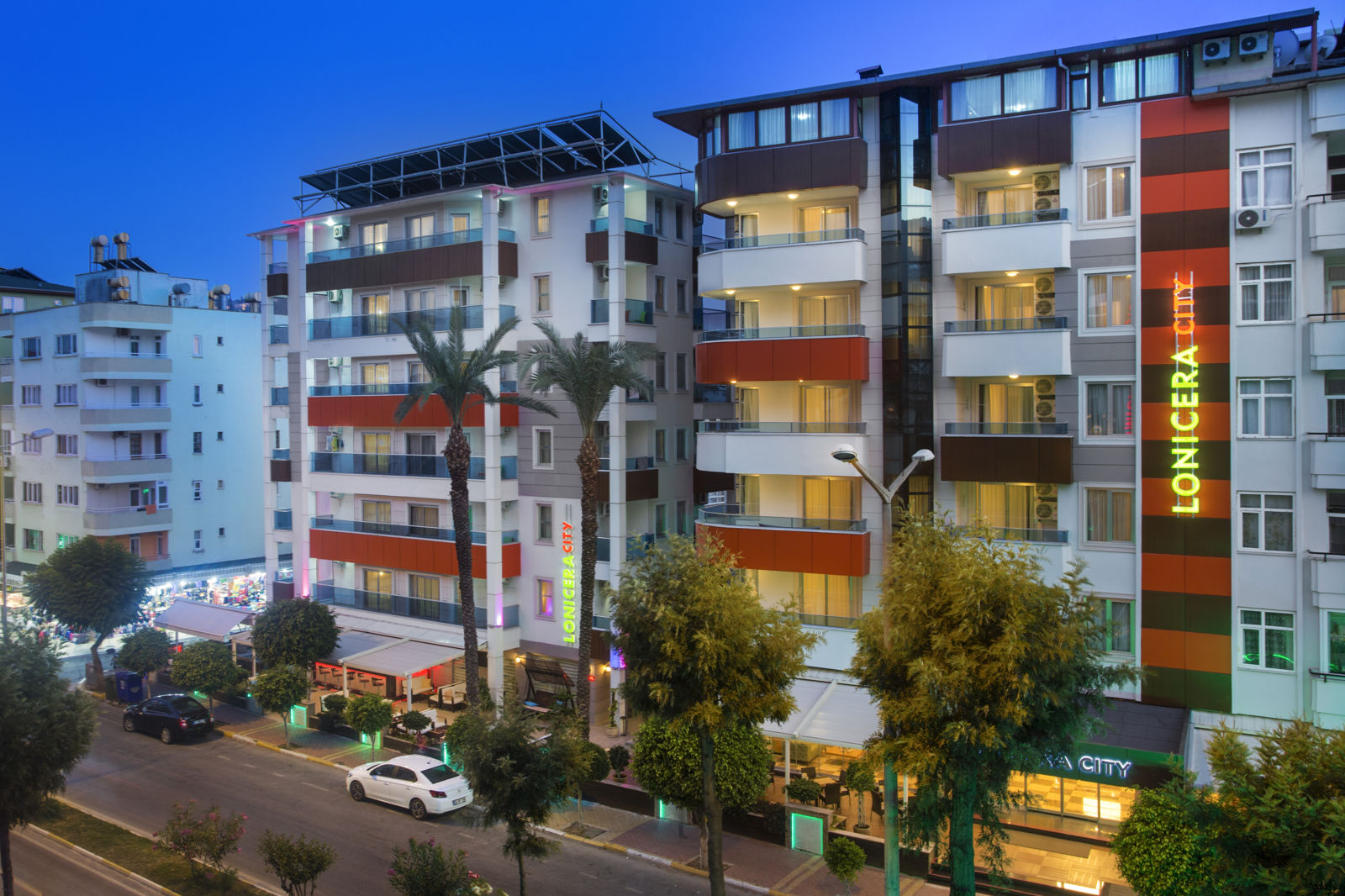 Lonicera City Kleopatra slide 3