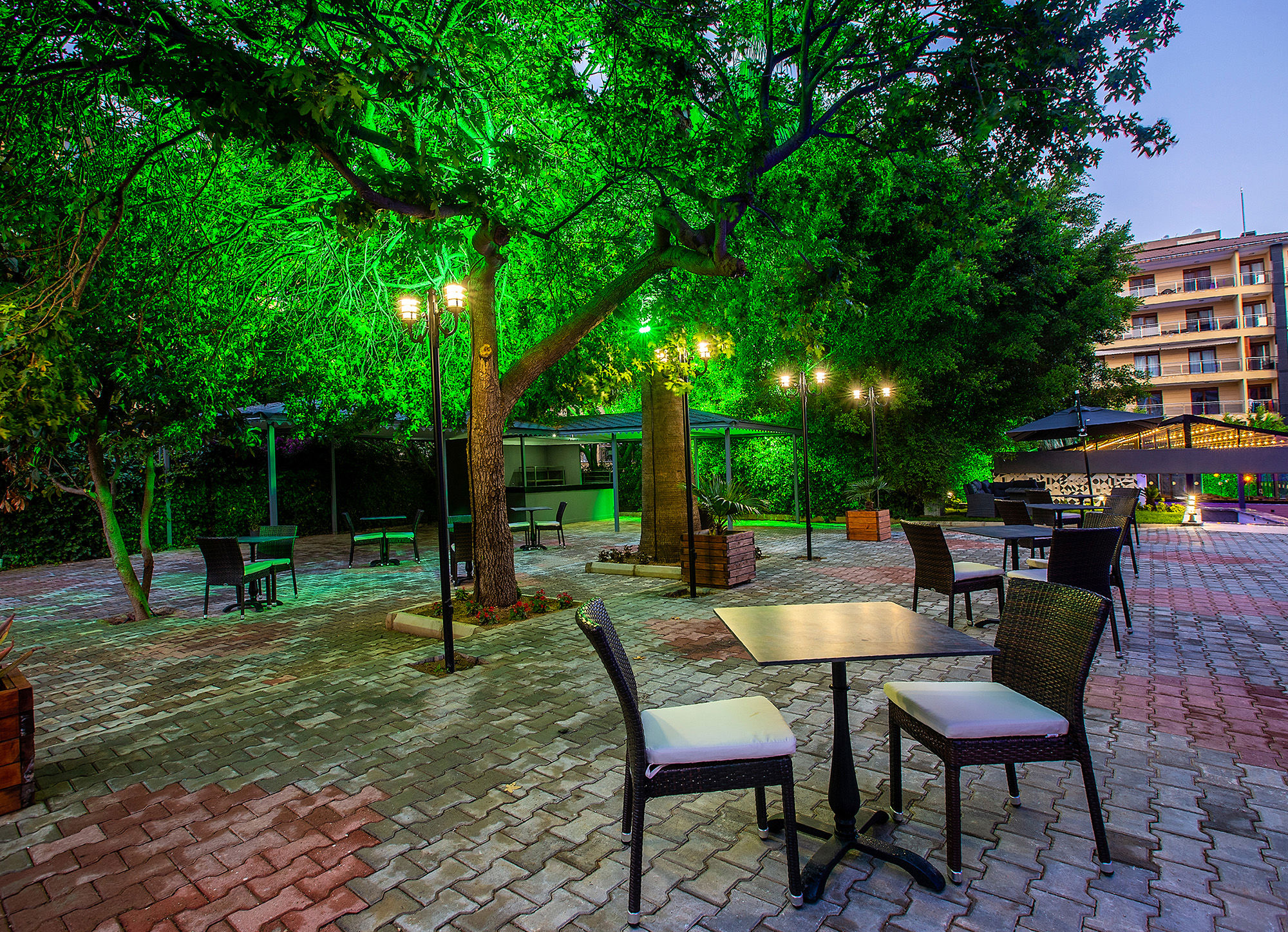 Grand Alisa Hotel - billede 4