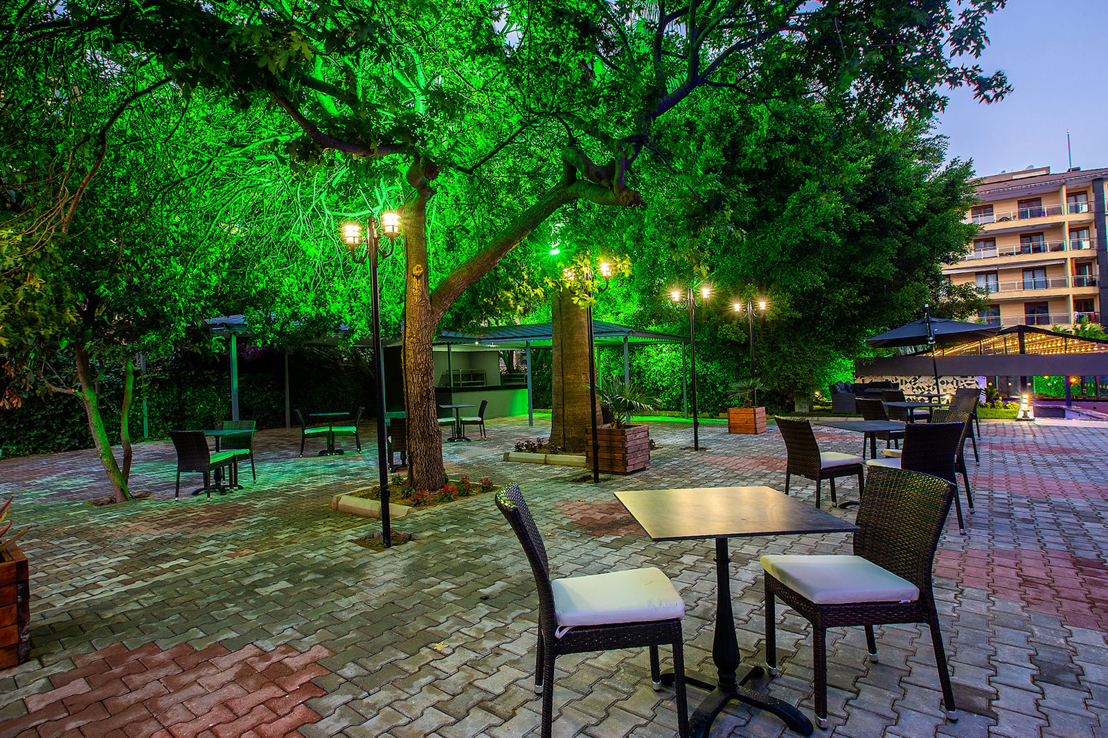 Grand Alisa Hotel billede 4
