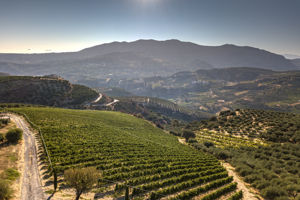 Douloufakis Winery