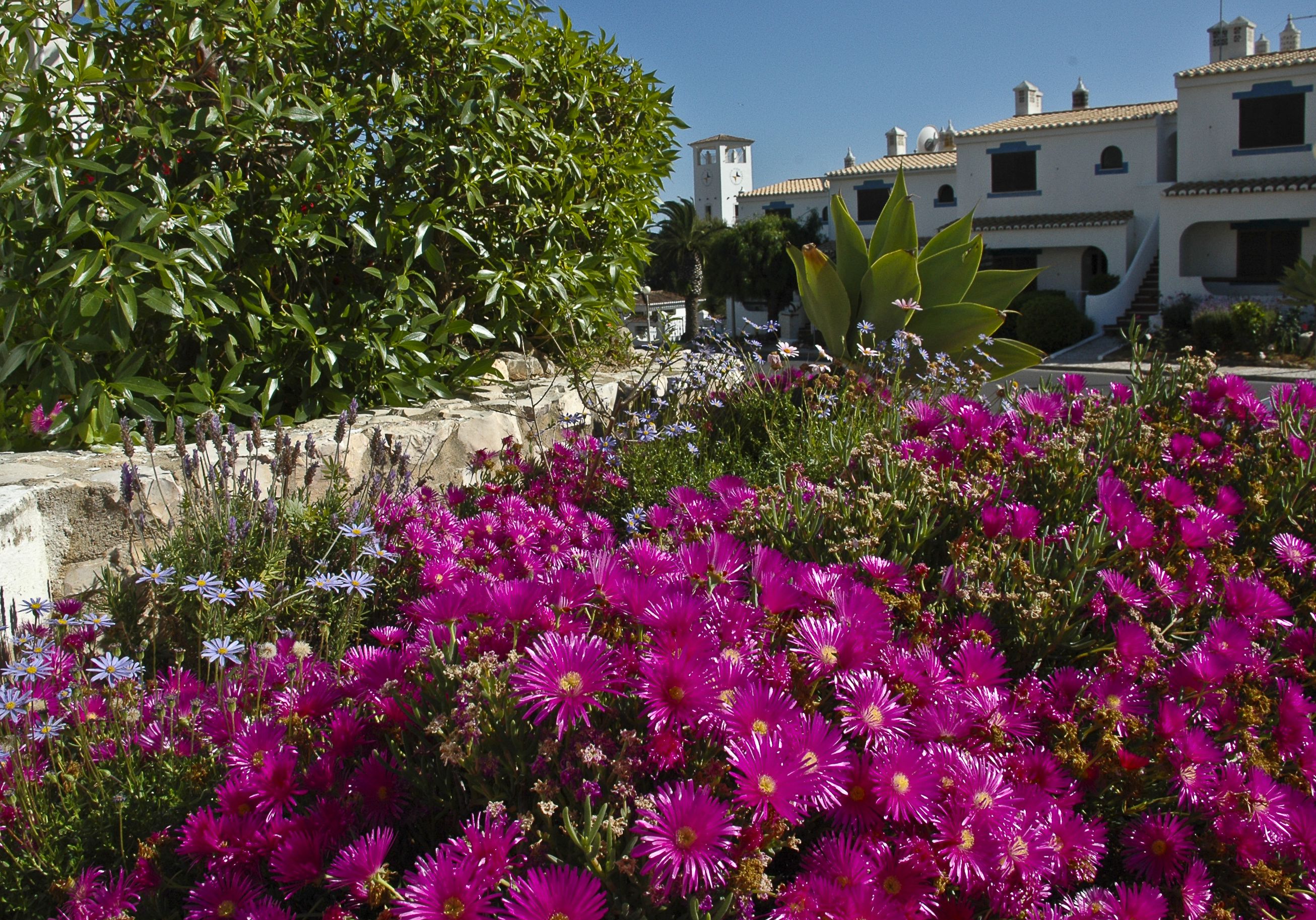 Turiquintas Villas