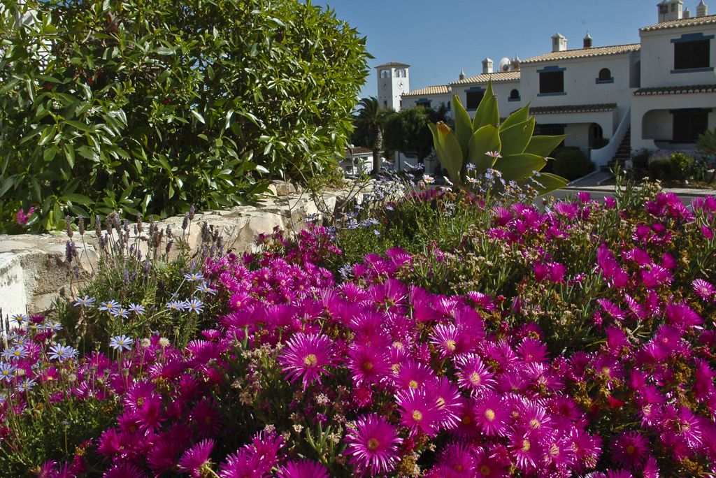 Turiquintas Villas foto 6