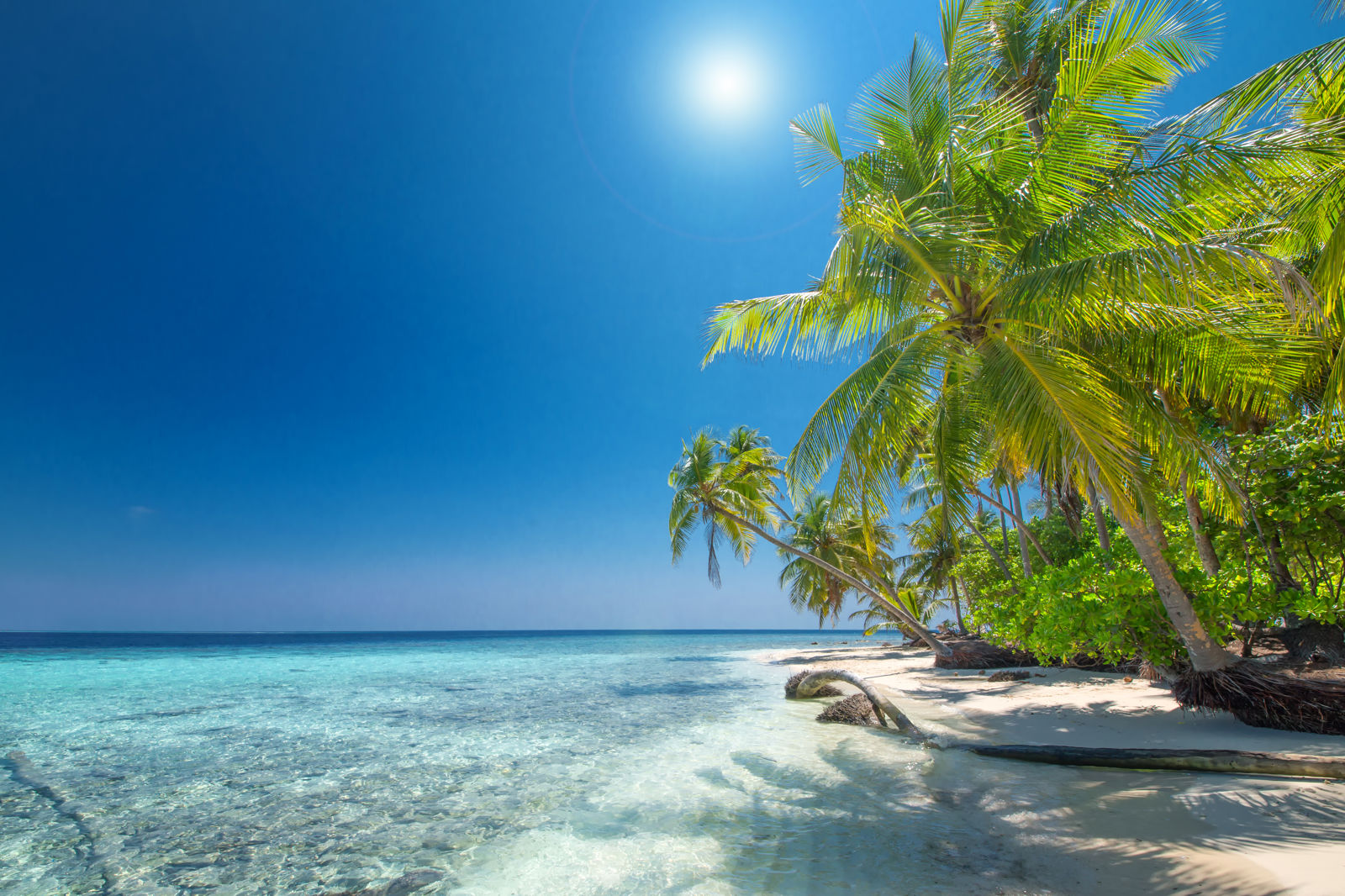 Cruise Only Curaçao & Caribische Parels