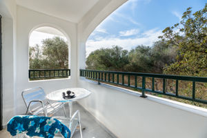 Woonvoorbeeld 1-kamer appartement