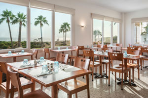 Sol Milanos Pinguinos