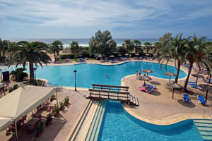 Sol Milanos Pinguinos