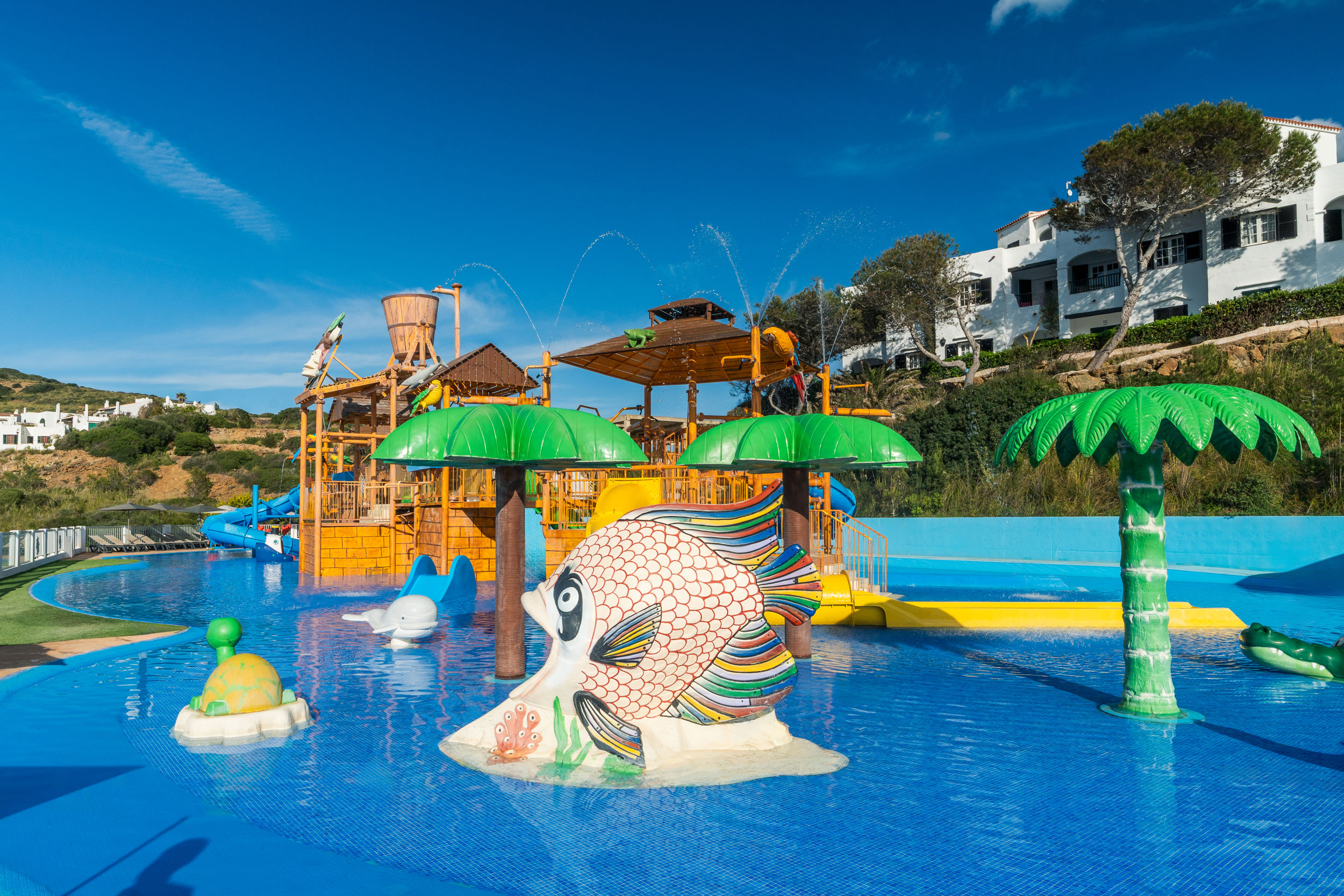 Fergus Club Carema Splash