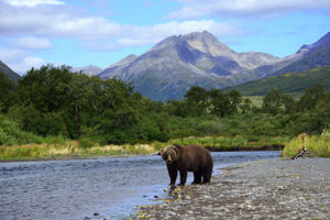 Cruise Alaska & Hawai - Gletsjers en Vulkanen
