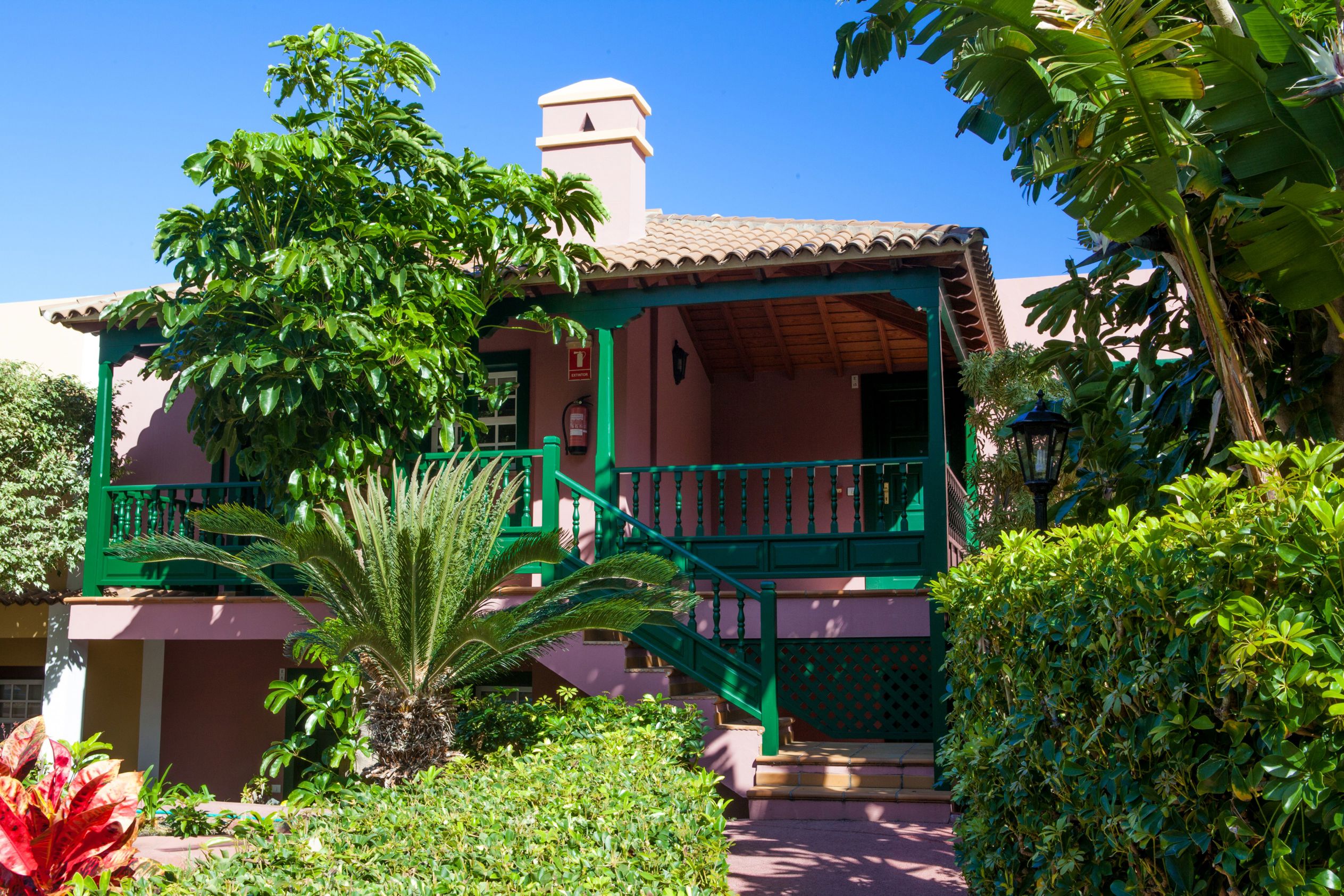 Oasis San Antonio