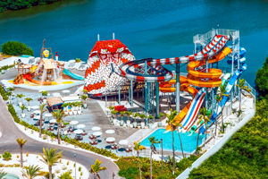 The Rif at Mangrove Beach Vandaag Inside / De Oranjezomer