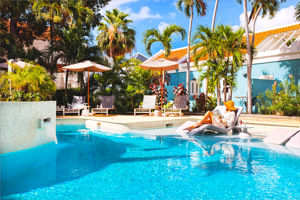 Kura Botanica Vandaag Inside / De Oranjezomer