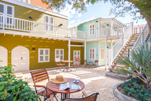 Kura Botanica Vandaag Inside / De Oranjezomer