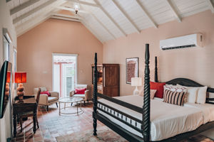 Kura Botanica Vandaag Inside / De Oranjezomer