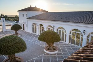 Cortijo El Tesorillo II