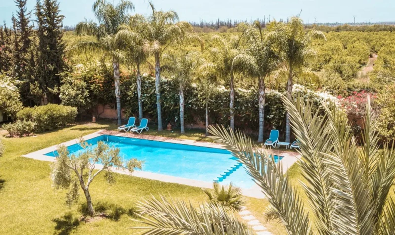El Olivar Palace Marrakech - billede 2