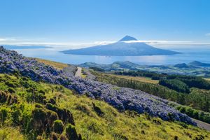 Cruise Only van Curaçao naar IJmuiden