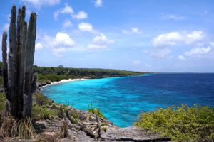 Cruise Only van Curaçao naar IJmuiden