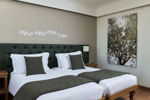 Woonvoorbeeld superiorkamer met stadszicht