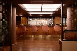 Brown Acropol Athens