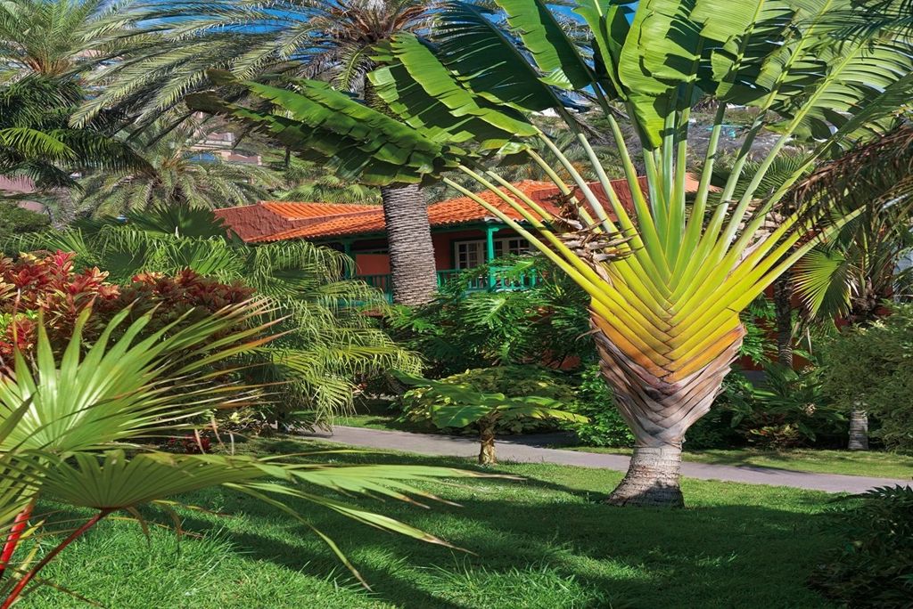 Hacienda San Jorge foto 6