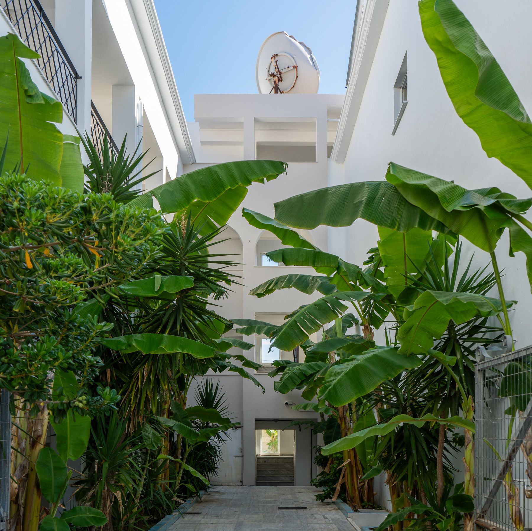 Mojo Hotel