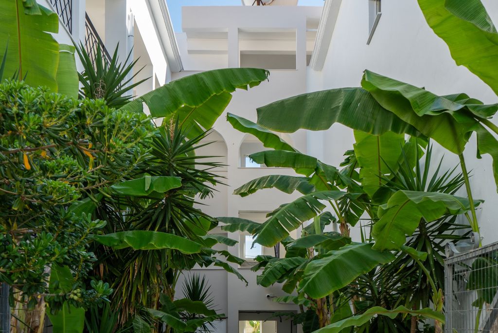 Mojo Hotel foto 6