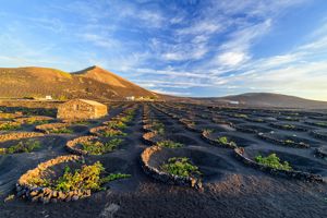 Cruise Canarische Eilanden