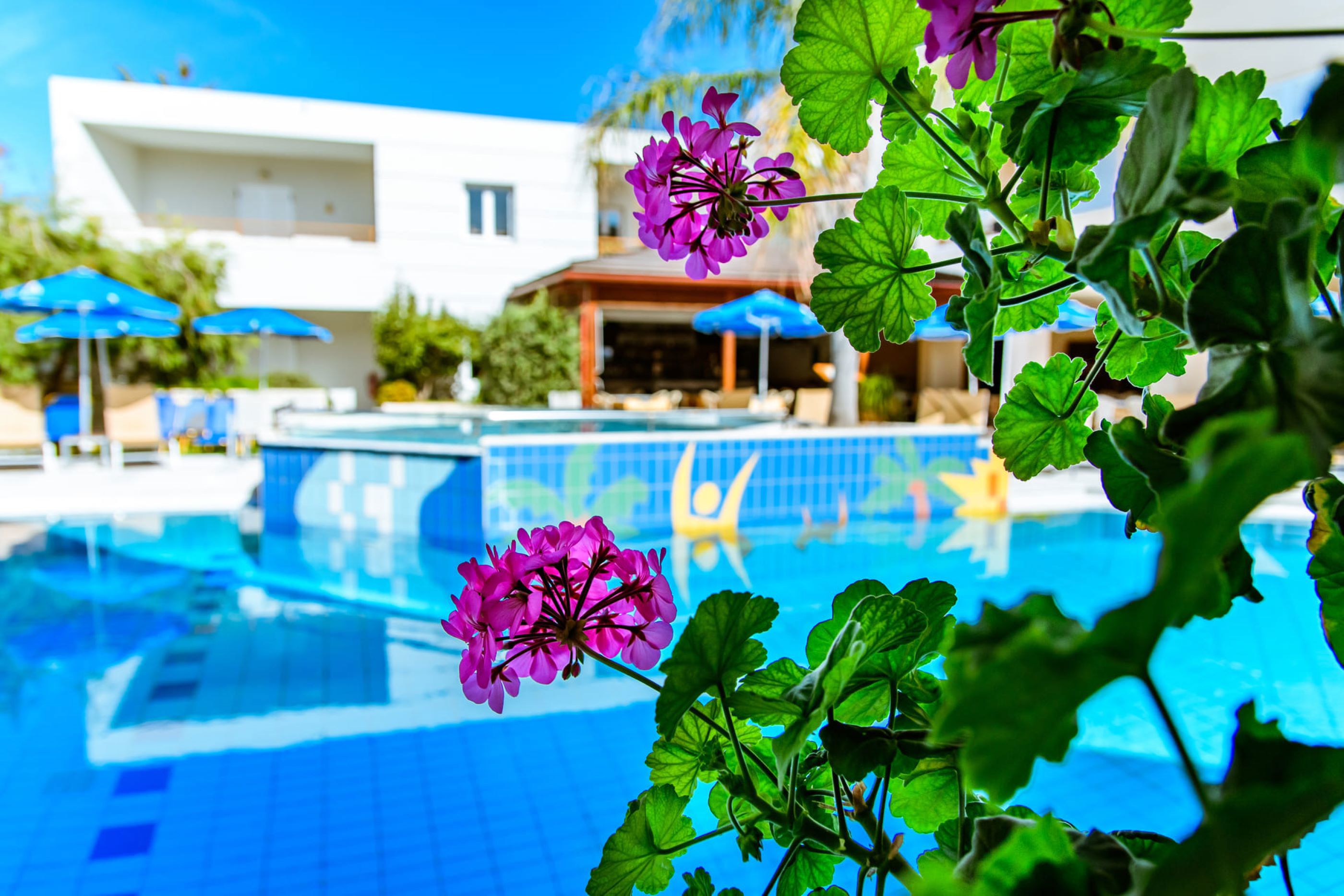 Fly & Go Anais Collection Hotels & Suites