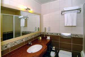 Woonvoorbeeld Badkamer