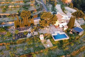 Casa Pura Vida 