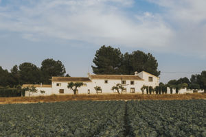 Casa Pedro Barrera