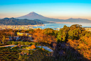 Cruise Japan & Zuid-Korea