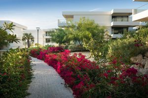 Fly & Go Papagayo Beach Hotel