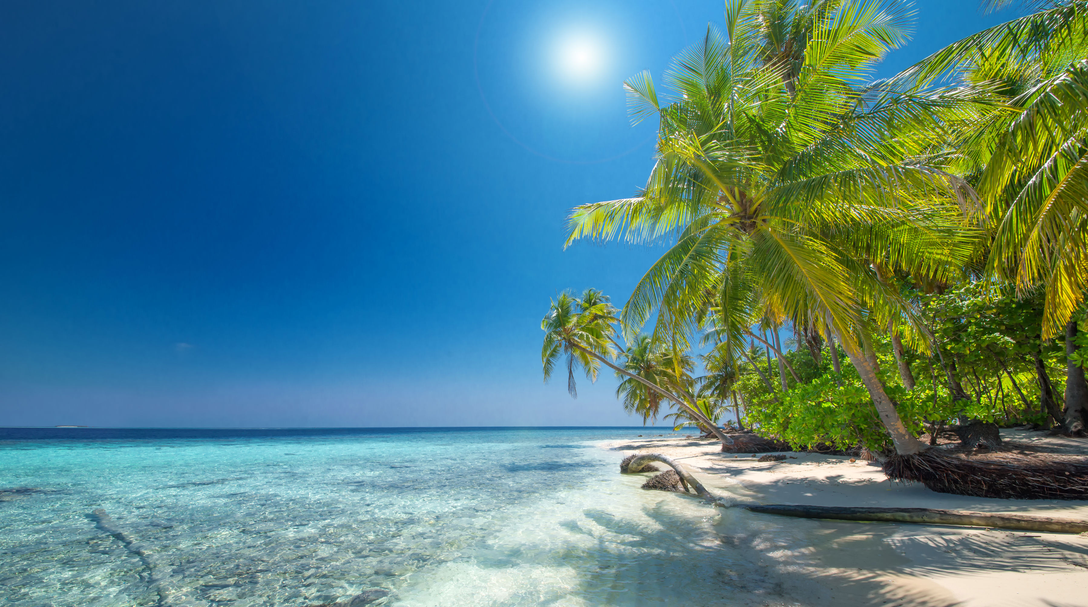Cruise-Only Aruba & Caribische Parels