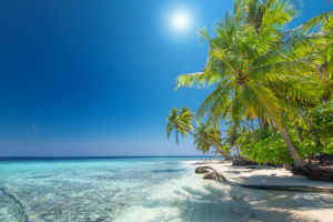Cruise-Only Aruba & Caribische Parels