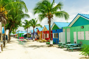 Cruise-Only Aruba & Caribische Parels