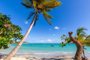 Cruise-Only Aruba & Caribische Parels