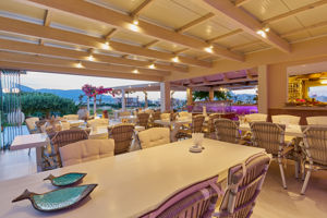 Golden Bay Apartments
