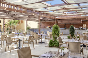 Olivo bar & restaurant