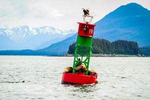 Cruise Alaska