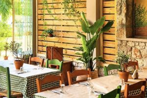 Fly & Go Explore Kassandra Appartementen