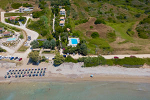 Caretta's Nest