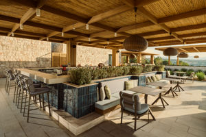 Adult Pool Bar
