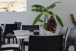 Evita Alegria Hotel