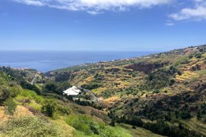 Calheta Suites